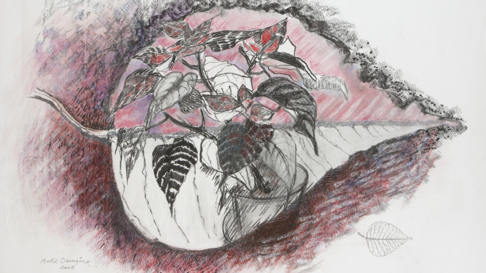 Bodil Damgaard - Rosa Blad