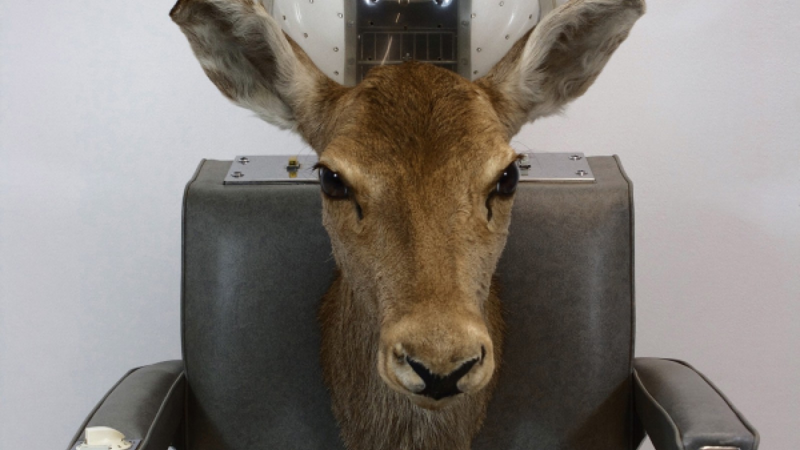 Værk af Nina Saunders