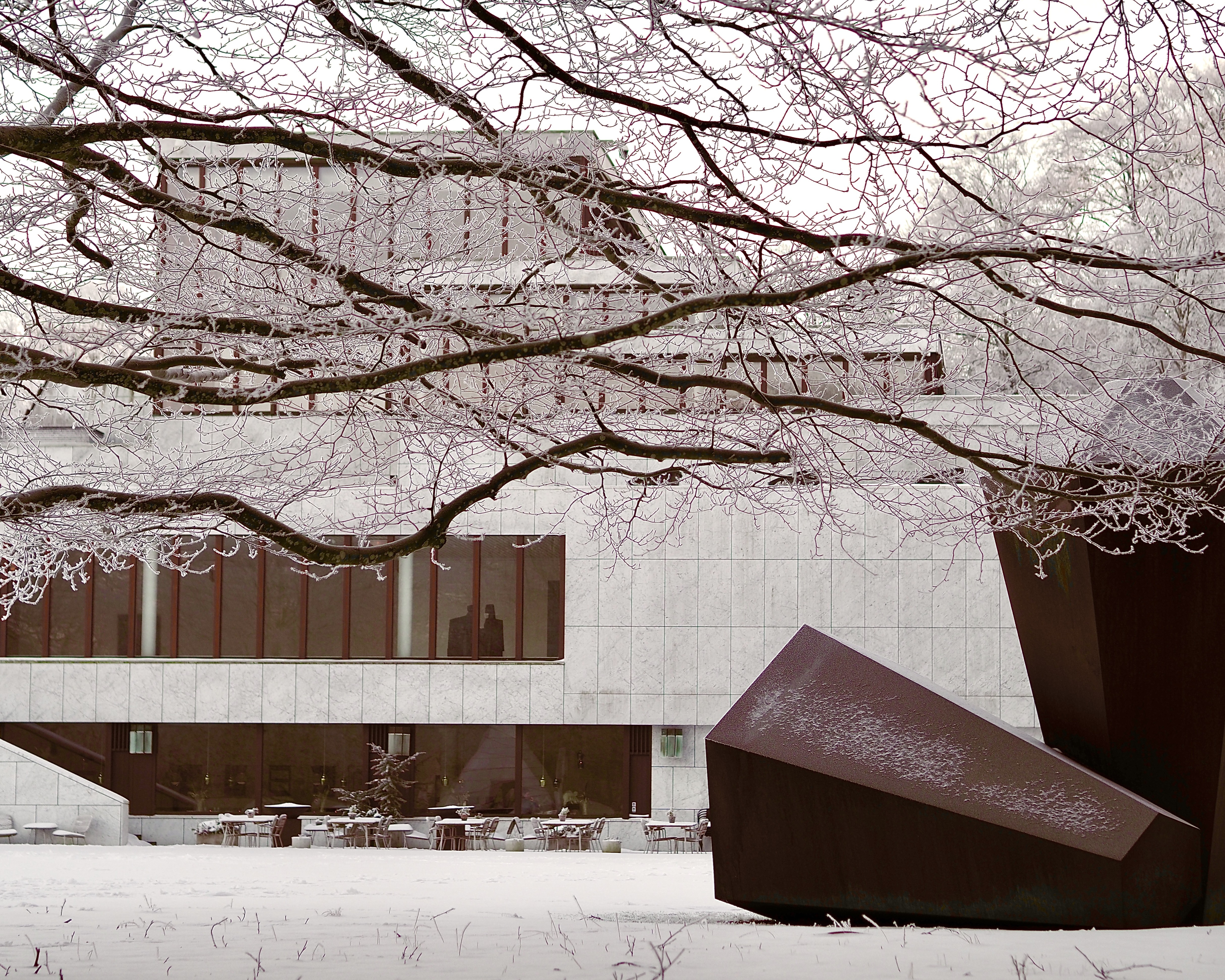 Park vinter