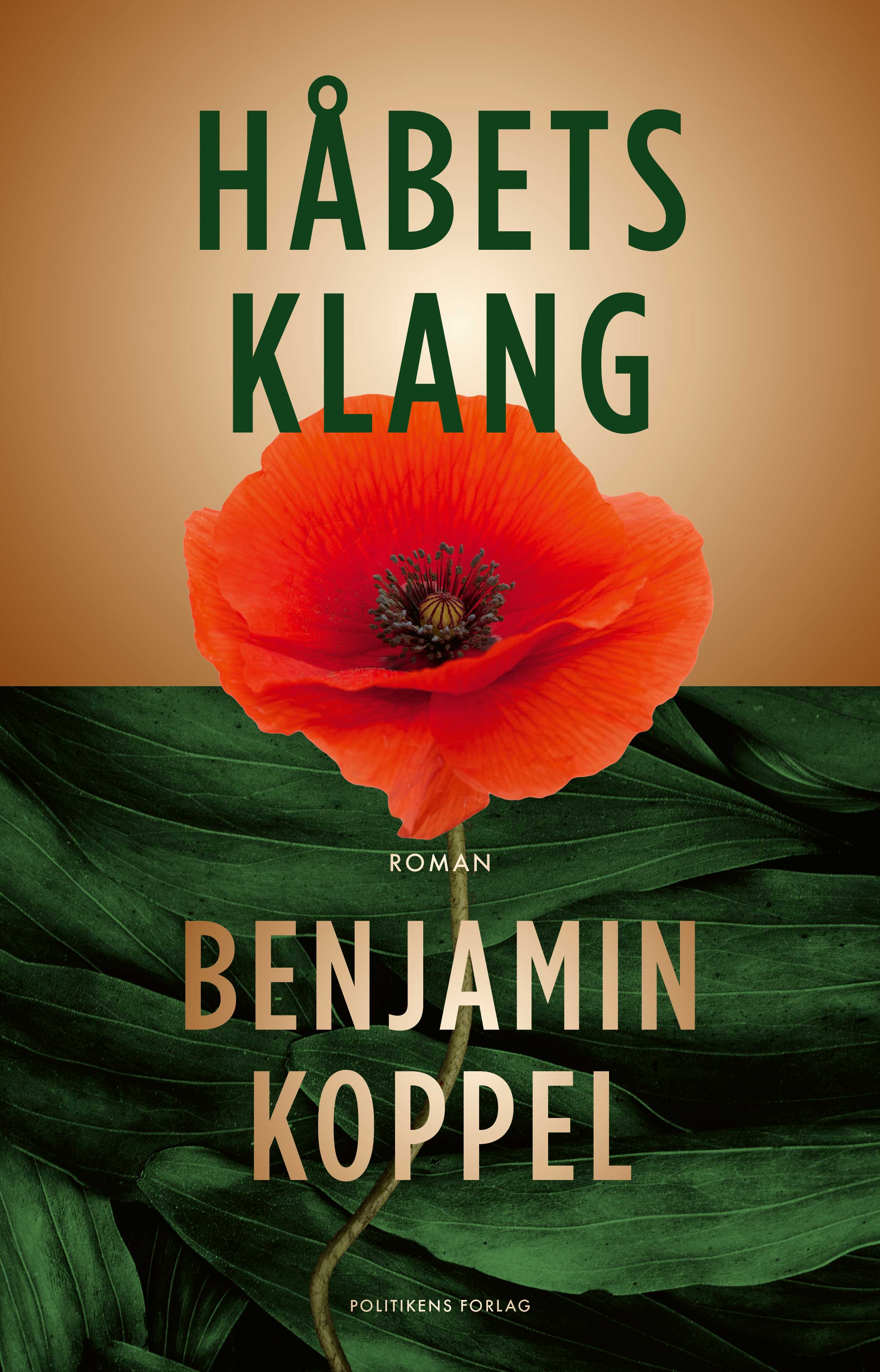 Benjamin Koppel Håbets Klang