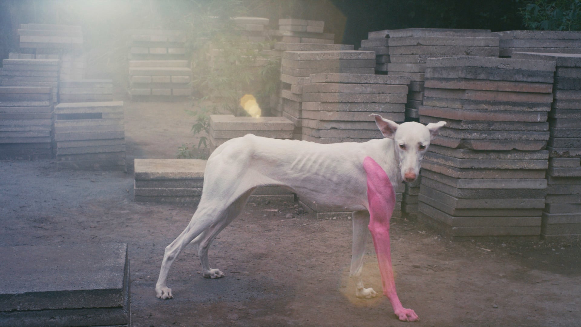 remote video thumbnail