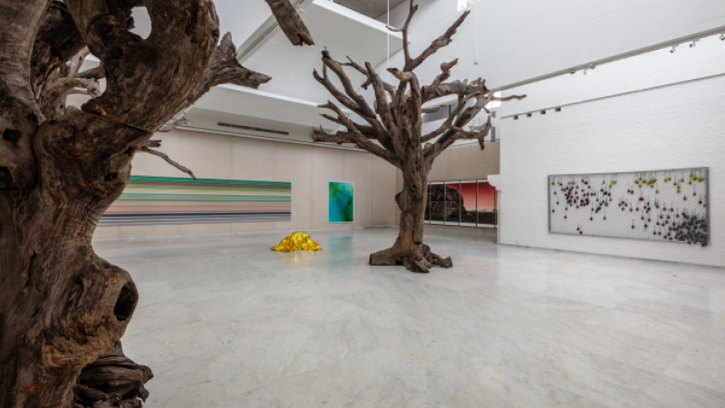 unreal installation views 6