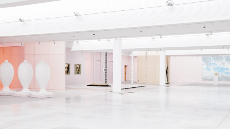 stine goya installation views