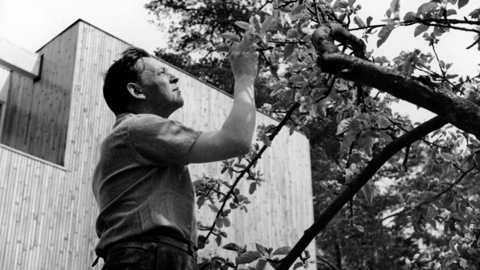 Foto af Alvar Aalto
