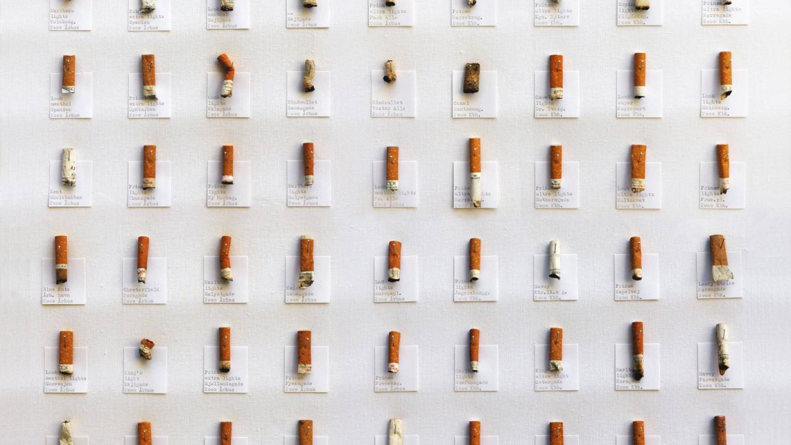 Værk af Lasse Krog Møller