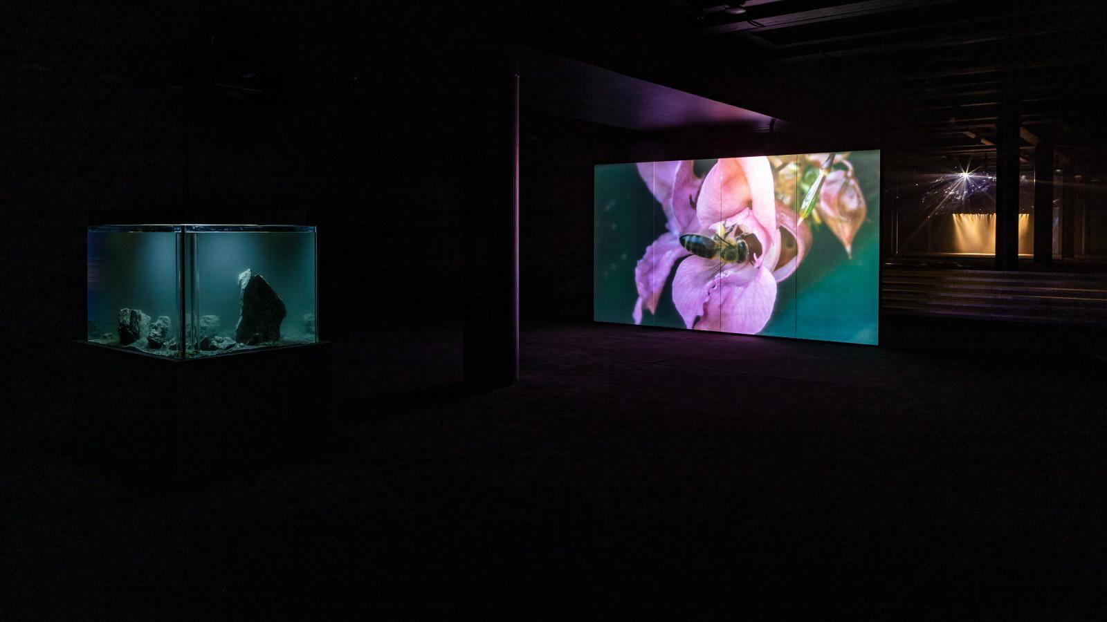 Værk af Pierre Huyghe