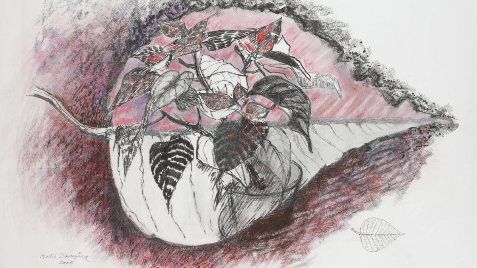 Bodil Damgaard - Rosa Blad