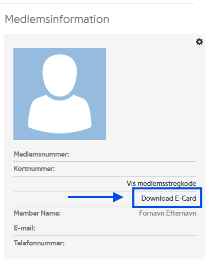 Guide til E-card pt 2