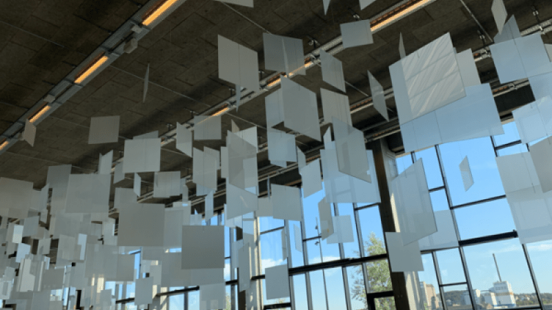 Thank You, Thank You, Thank You Fog